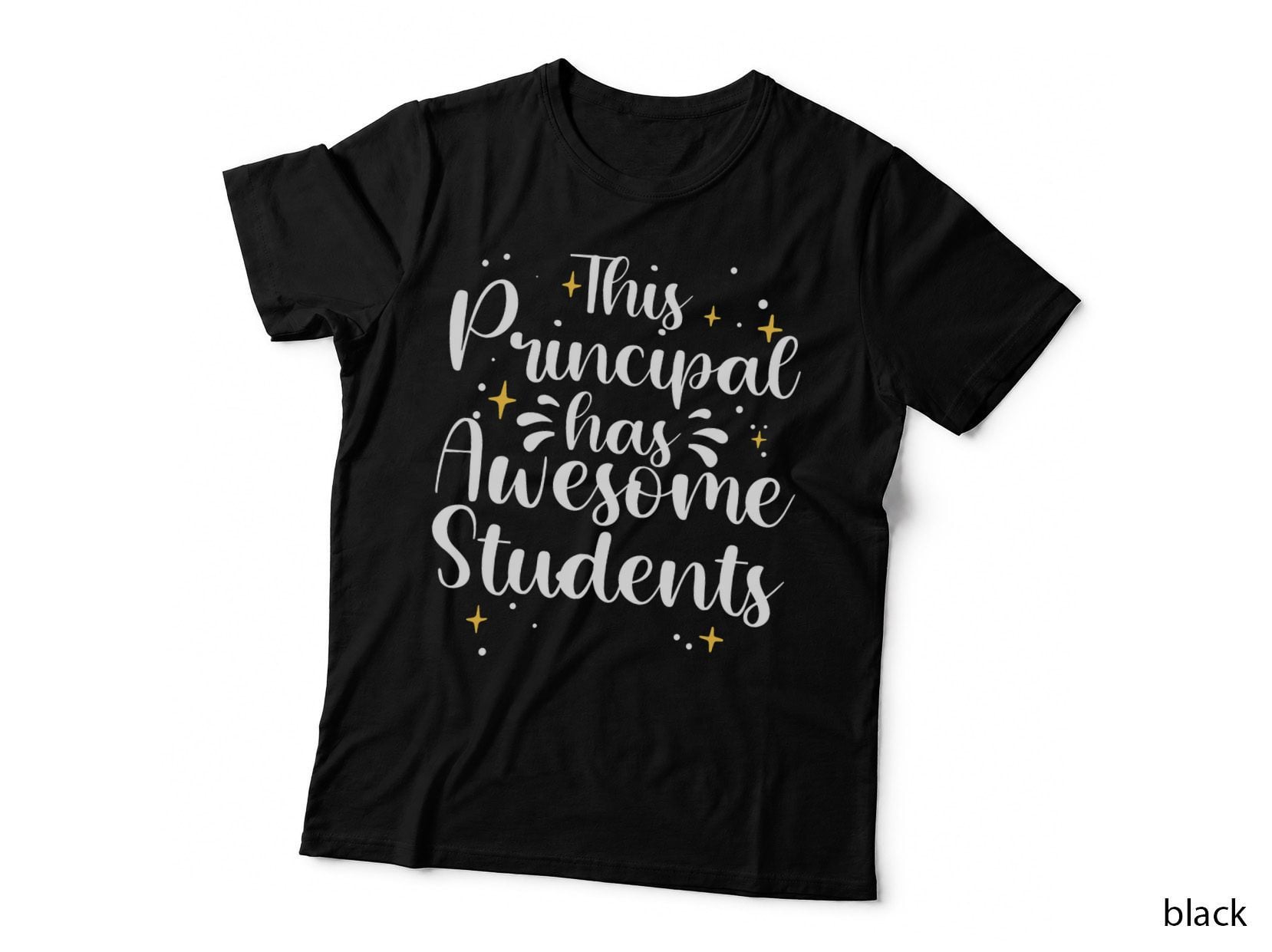 Funny School Principal Art for Men Women Head Teacher Lover T-Shirt