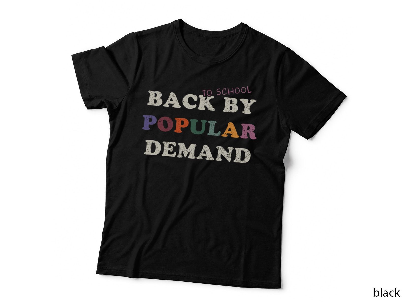 Funny Student Teacher Back to School, College Humor, Classroom T-Shirt