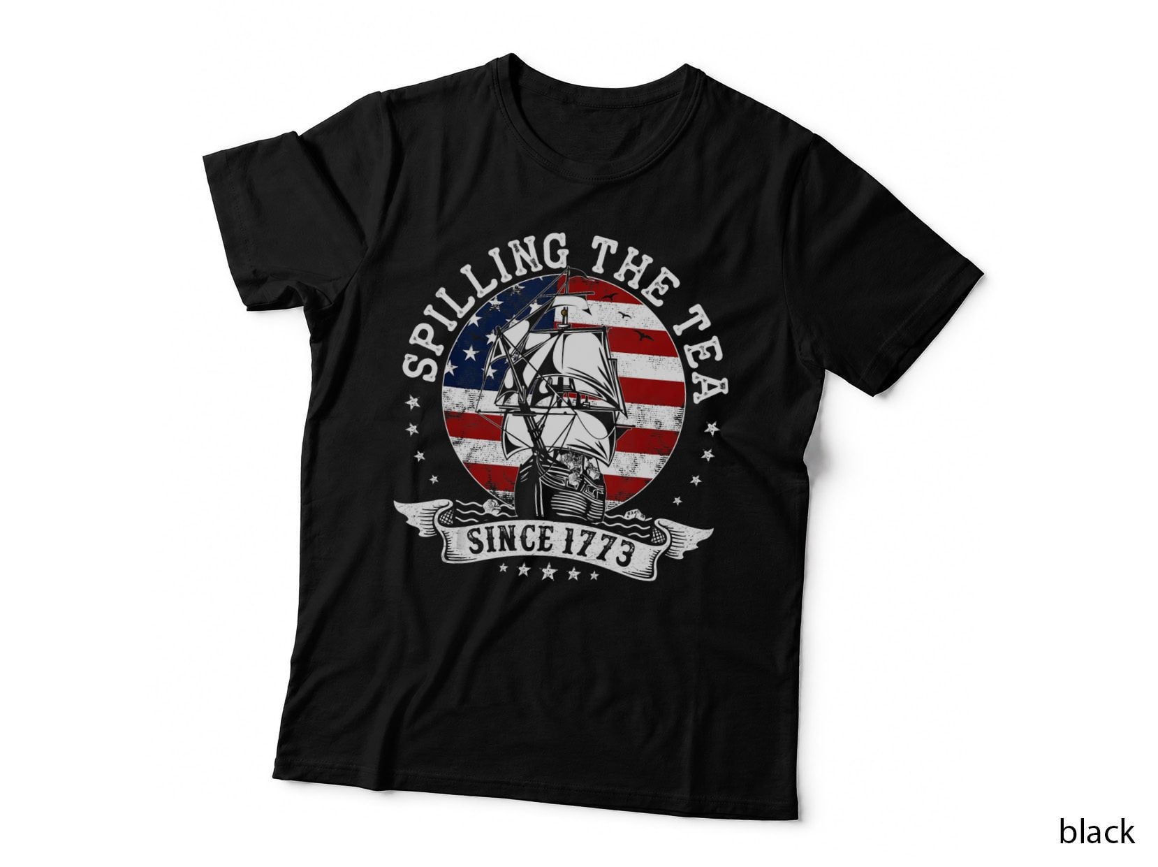 Us History Teacher Historian Spilling the Tea Since 1773 T-Shirt