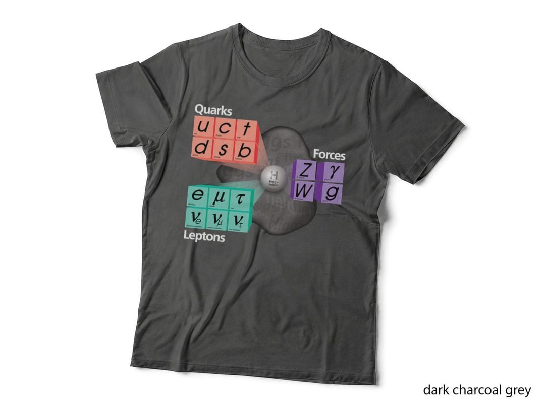 Particles Standard Model Higgs Boson Physics Teacher Student T-Shirt