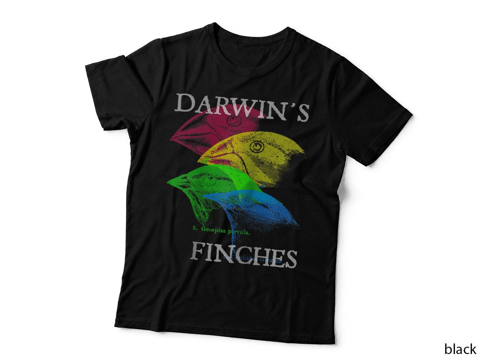Nerdy Darwin's Finches Evolution Science Biology Teacher T-Shirt