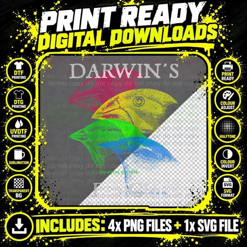 Nerdy Darwin's Finches Evolution Science Biology Teacher Png SVG Digital Bundle