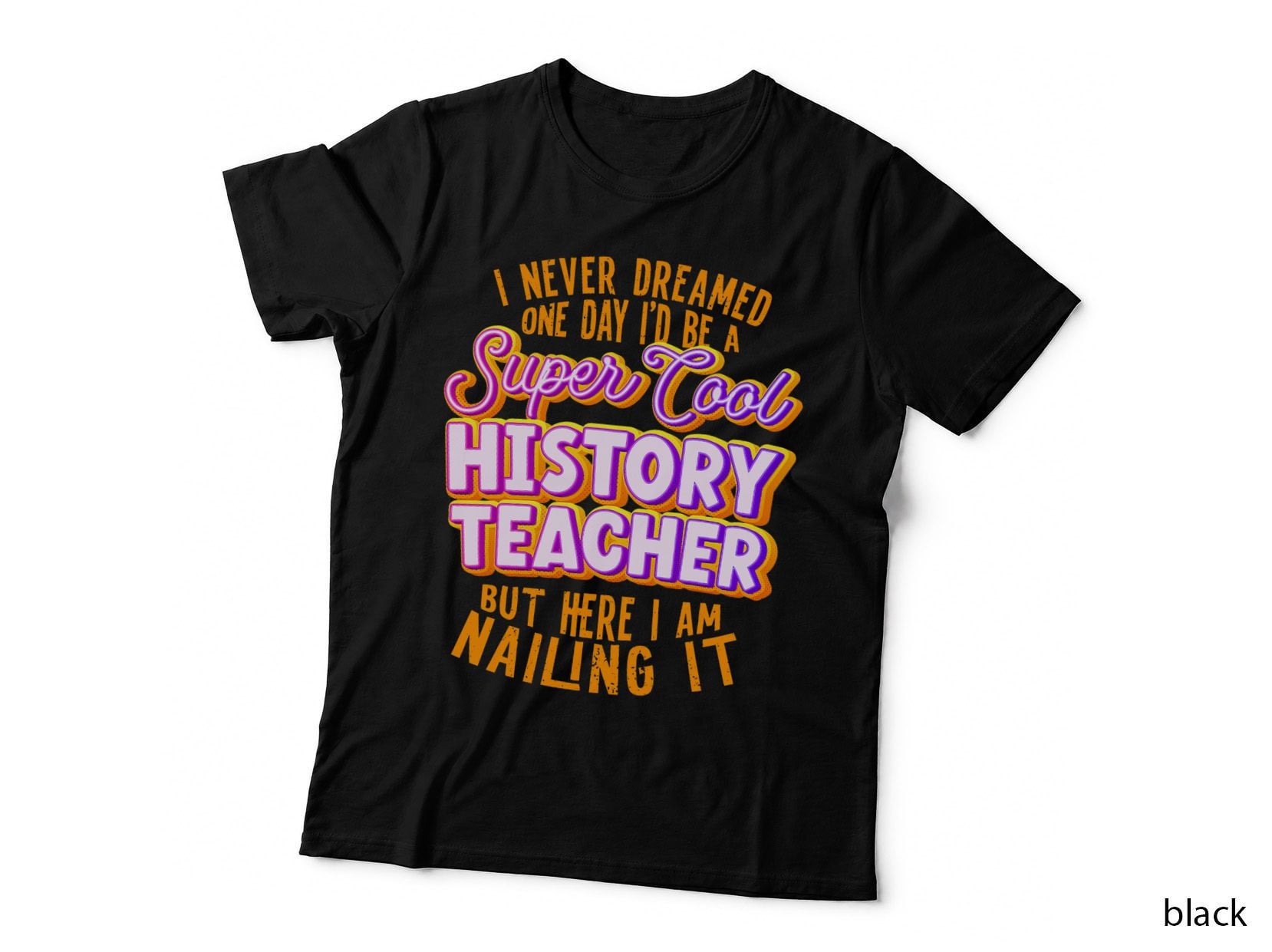 History Professor, History, Historian, History Teacher T-Shirt