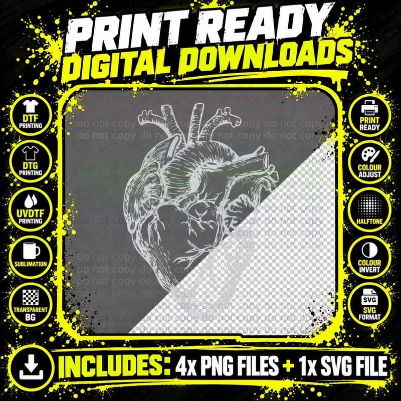 Real Heart Funny Human Anatomy Anatomical Cardiac Nurse Png SVG Digital Bundle
