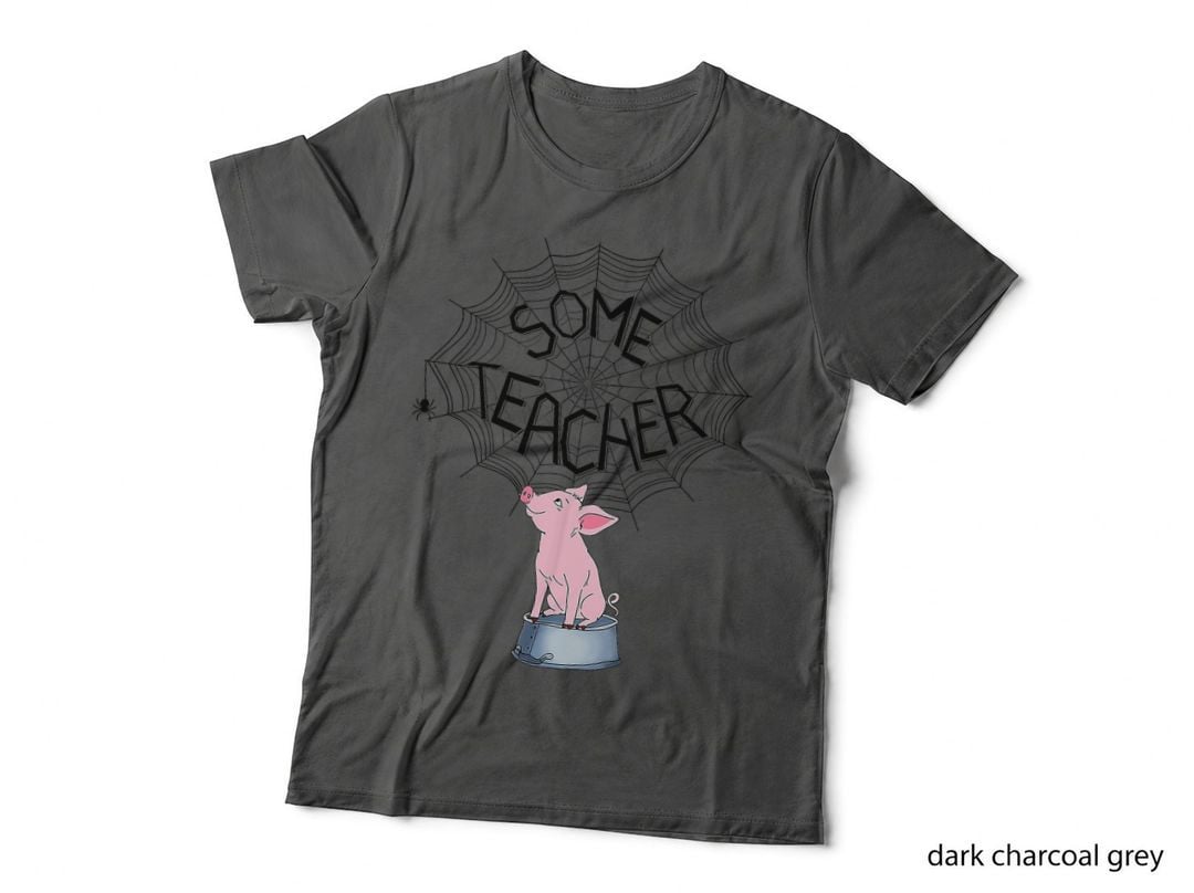 Some Teacher Spider Web Pig T-Shirt