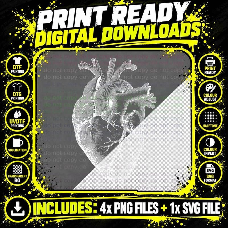 Anatomical Human Heart Medical Doctor Gift Heart Anatomy Png SVG Digital Bundle