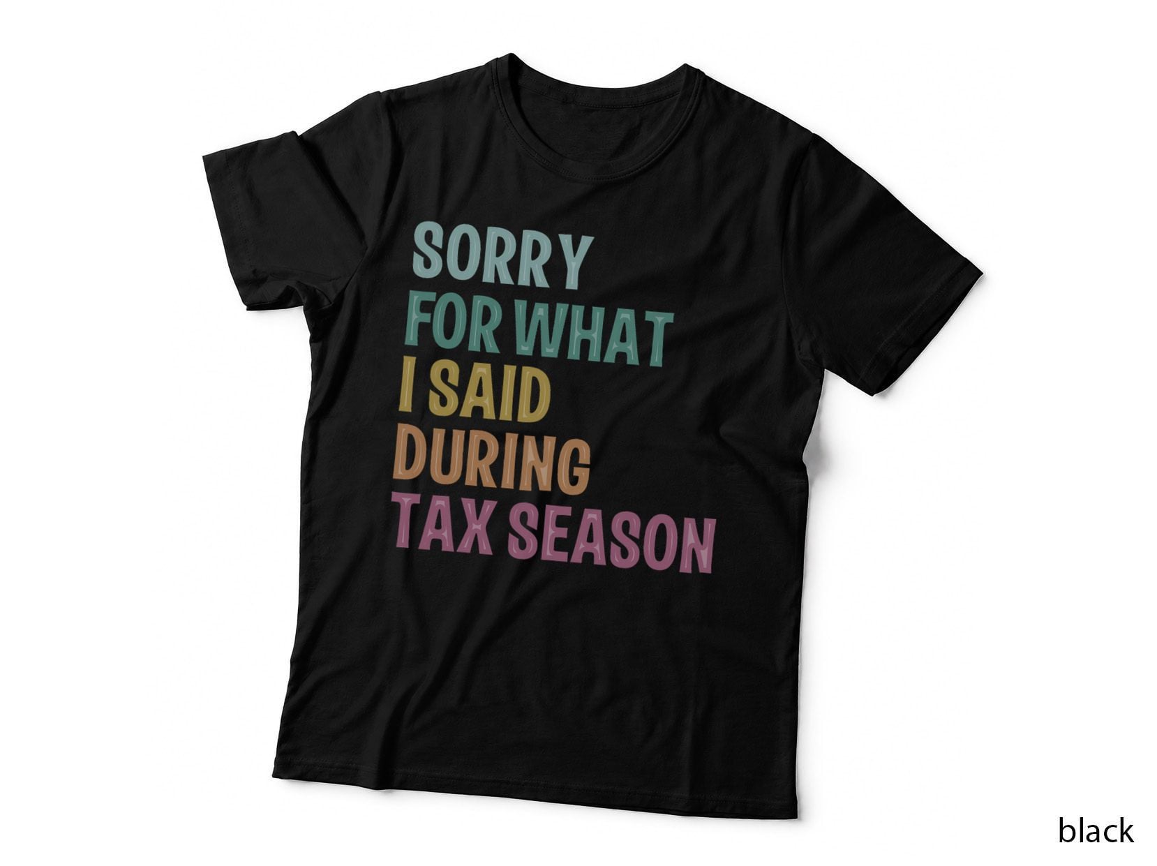 I'm Sorry for What I Said During Tax Season Accounting Lover T-Shirt