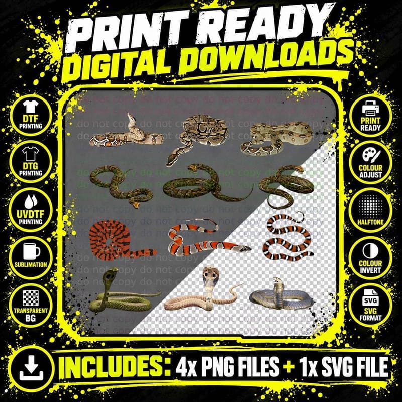 Different Types of Snakes Boys Girl Educational Serpent Png SVG Digital Bundle