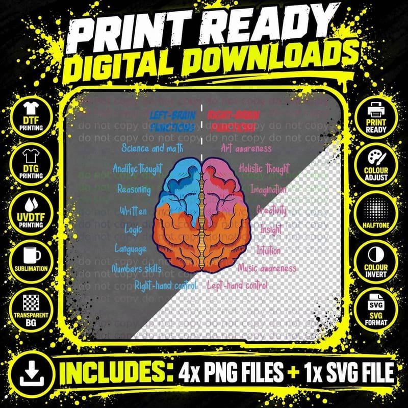 Anatomy of the Brain Functions Brain Parts Psychology Png SVG Digital Bundle