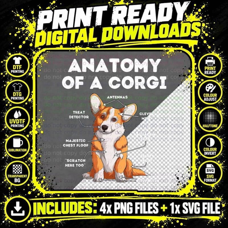 Anatomy of a Corgi T-Shirt Png SVG Digital Bundle