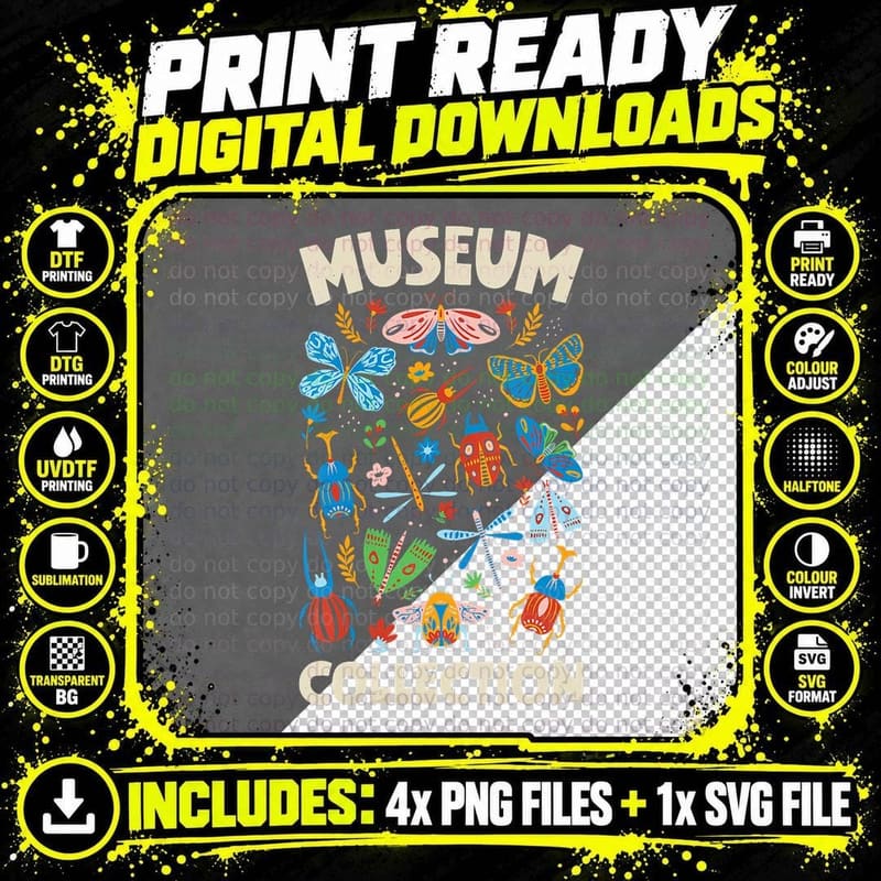 Bugs Insect Museum Collection Entomologist Boys Girls Png SVG Digital Bundle