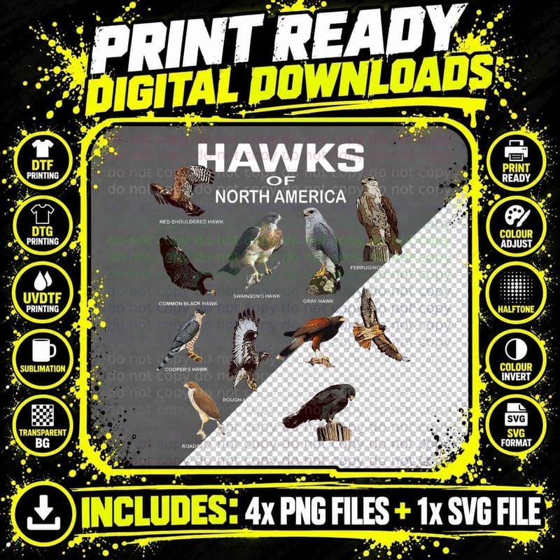Hawks North America Red-Tailed Roadside Gray Hawk T-Shirt Png SVG Digital Bundle