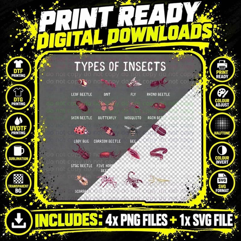 Insect Collecting Bug Catching Future Entomologist Png SVG Digital Bundle
