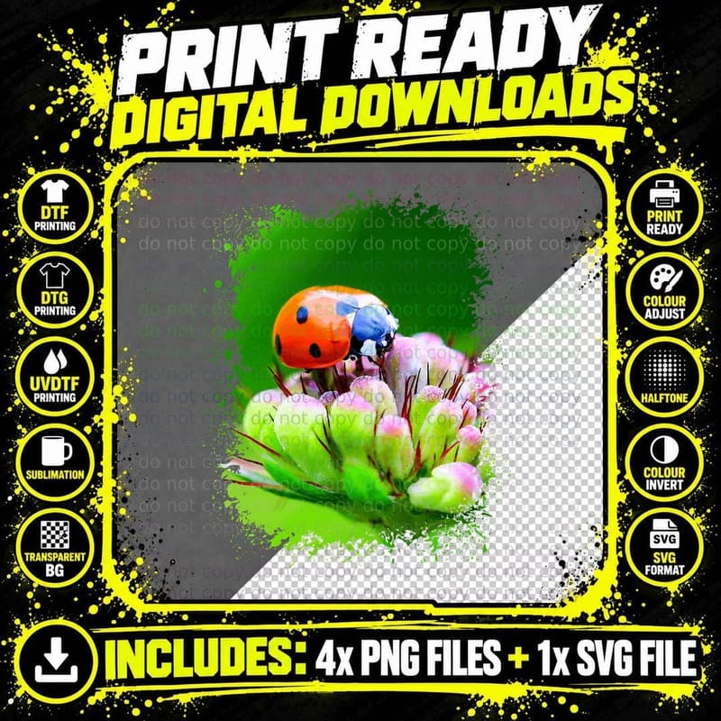 Ladybug Photo Insect Splatter Art T-Shirt Png SVG Digital Bundle