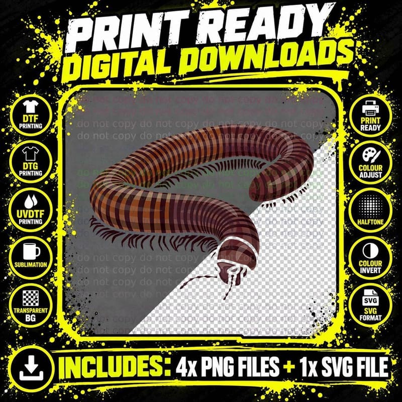 Millipede Insect Lover Bug Catcher Future Entomologist Png SVG Digital Bundle