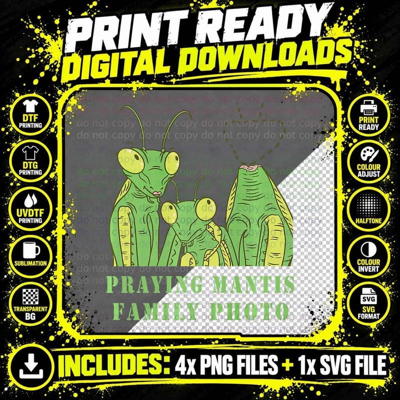 Praying Mantis Family Photo Praying Mantis Bug Insect Png SVG Digital Bundle