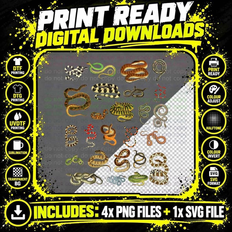 Types of Snakes Educational Herpetologist Kids Boys Png SVG Digital Bundle