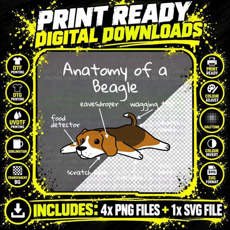 Anatomy of a Beagle T-Shirt Png SVG Digital Bundle