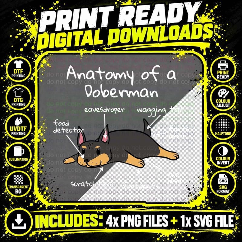 Anatomy of a Doberman T-Shirt Png SVG Digital Bundle