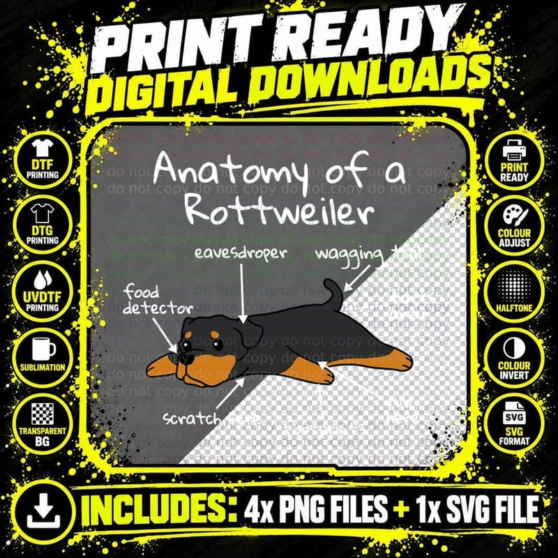 Anatomy of a Rottweiler T-Shirt Png SVG Digital Bundle