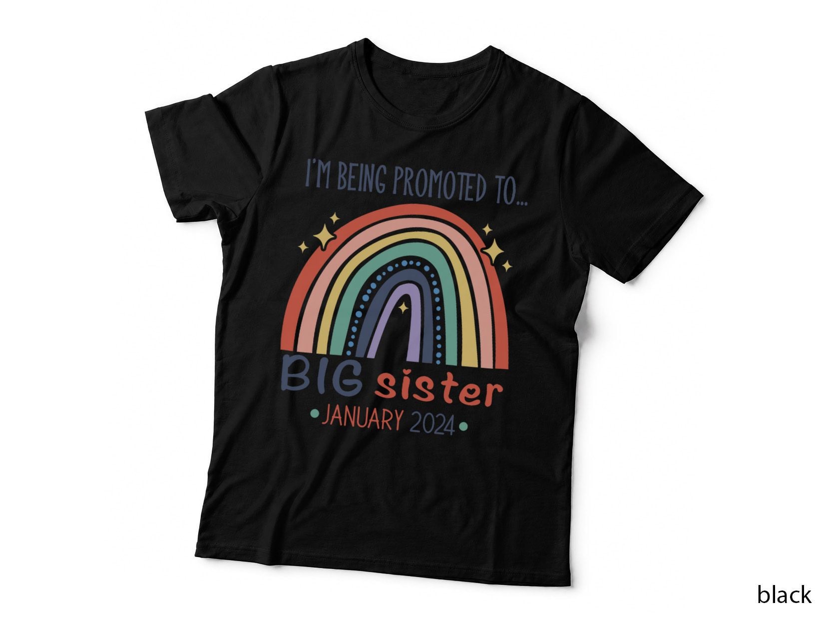 Promoted to Big Sister Rainbow T-Shirt, Baby Reveal, Family Apparel