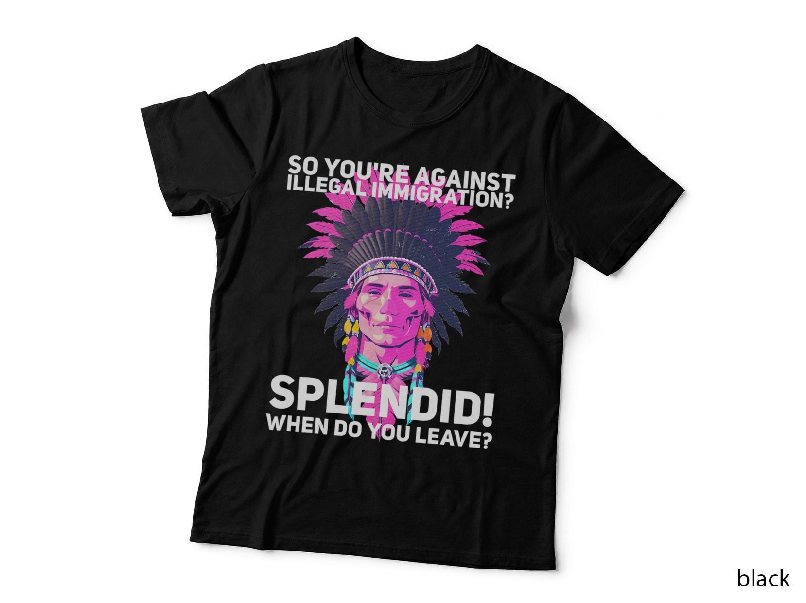 You're Against Illegal Immigration Vaporwave Native American T-Shirt