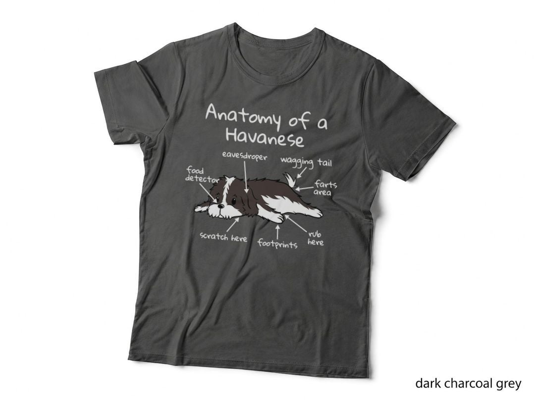 Anatomy of a Havanese T-Shirt