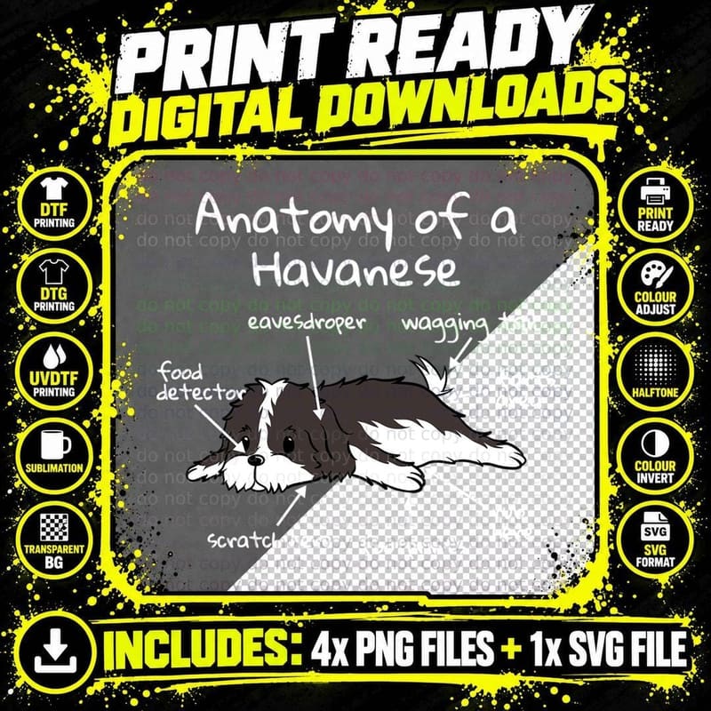 Anatomy of a Havanese T-Shirt Png SVG Digital Bundle