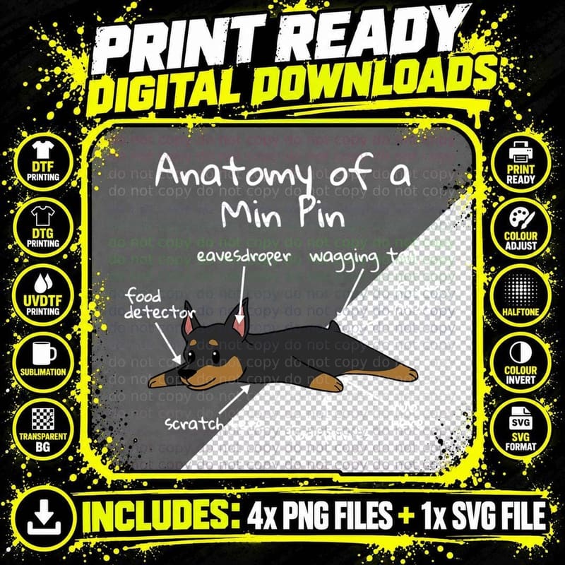 Anatomy of a Miniature Pinscher T-Shirt Png SVG Digital Bundle