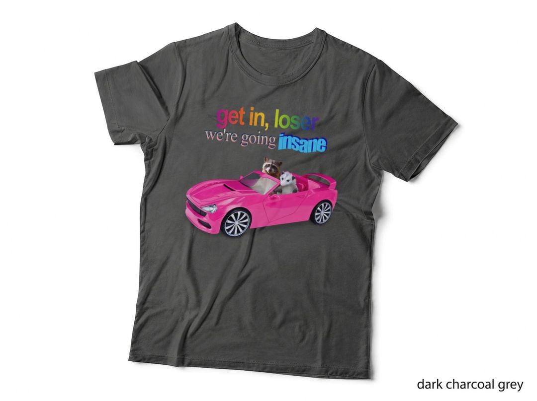 Get in Loser, We&39, Re Going Insane Raccoon Possum Word Art T-Shirt