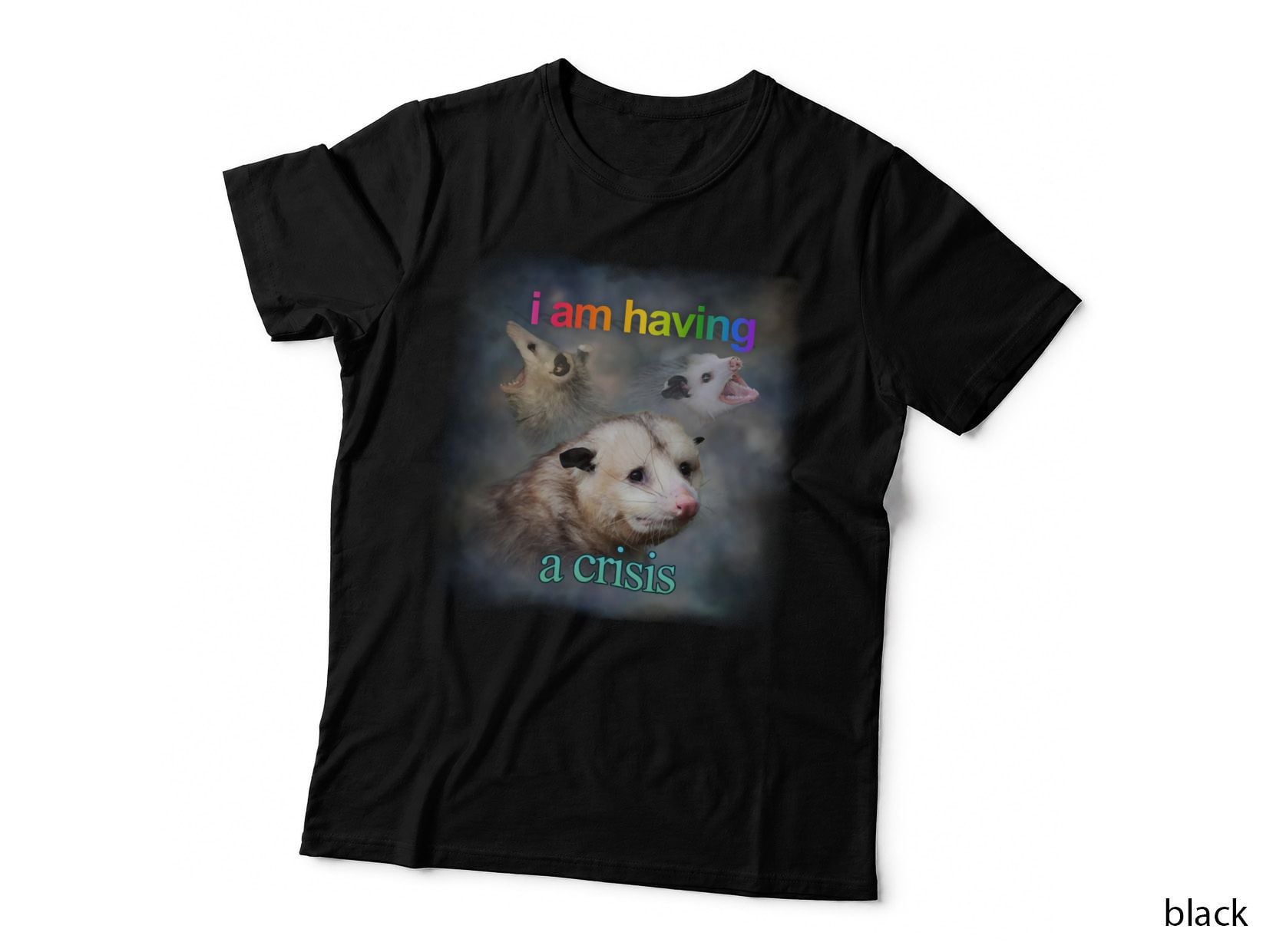 I Am Having a Crisis Possum Word Art T-Shirt