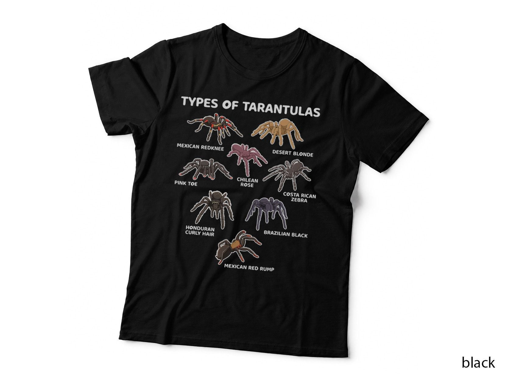Types of Tarantulas Pink Toe Chilean Mexican Hairy Spider T-Shirt