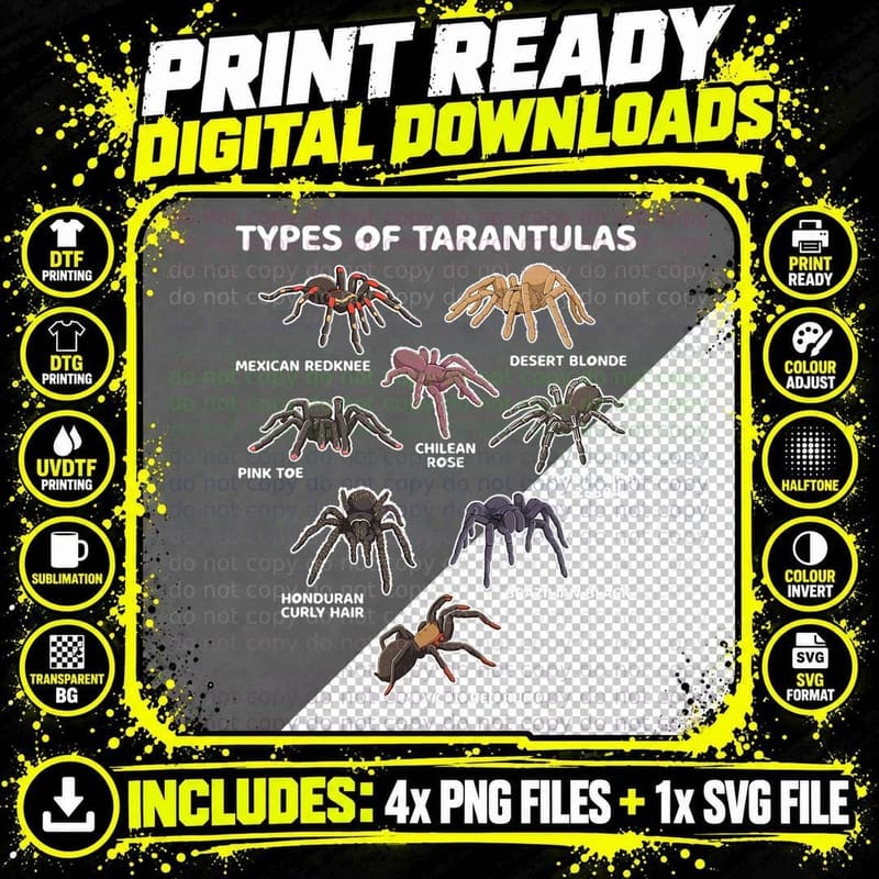 Types of Tarantulas Pink Toe Chilean Mexican Hairy Png SVG Digital Bundle