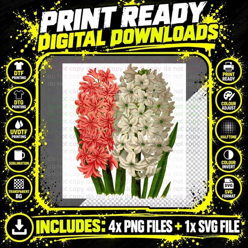 Hyacinth in Red and White Chiffon Top T-Shirt Png SVG Digital Bundle