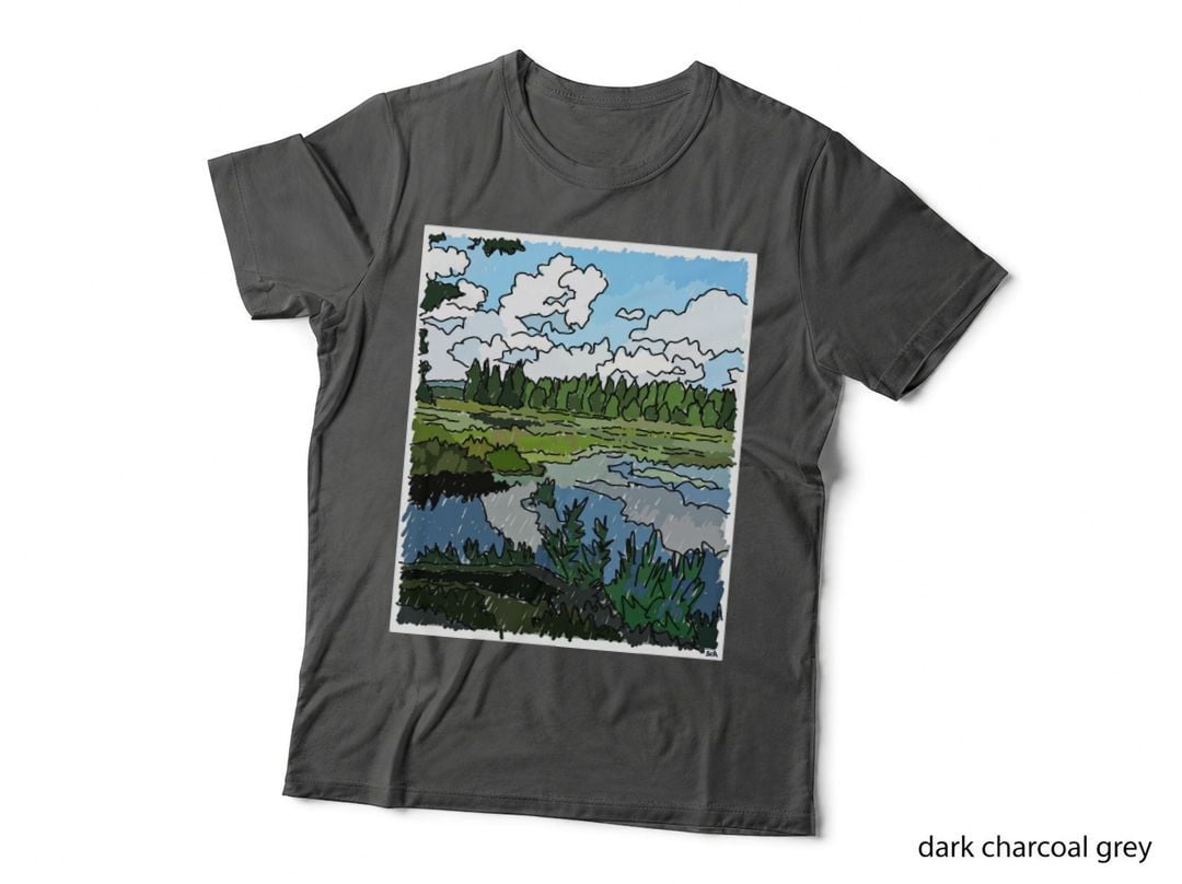 Pond Sky and Marsh at Paul Smiths' No 1 Long T-Shirt