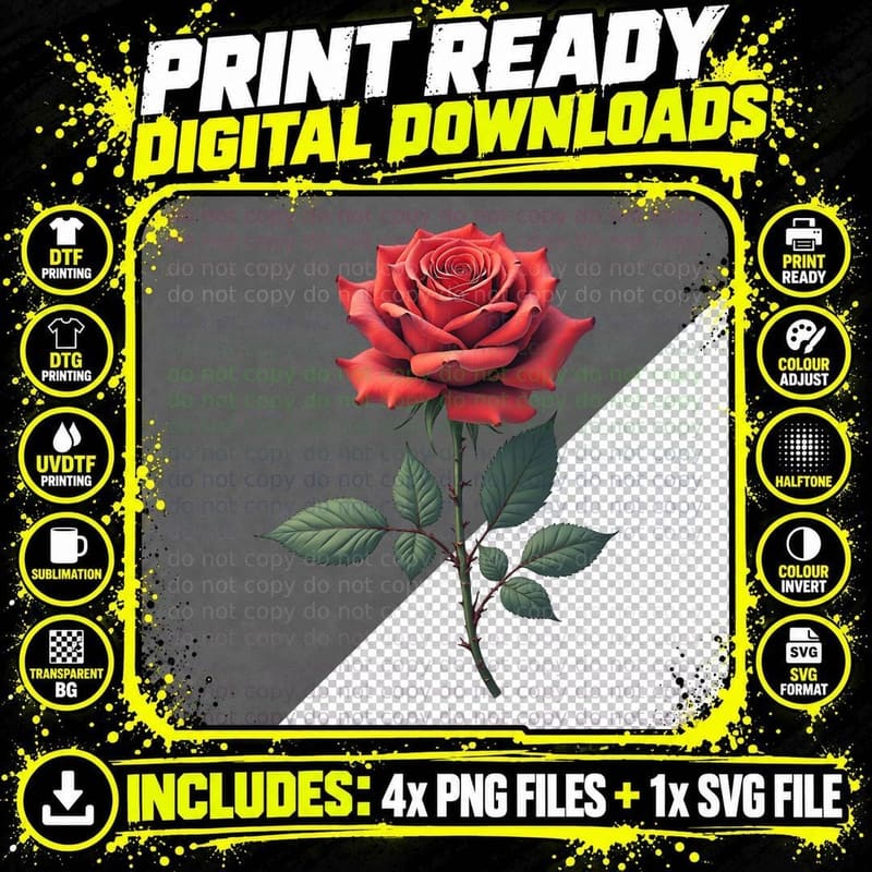Beautiful Realistic Rose T-Shirt Png SVG Digital Bundle