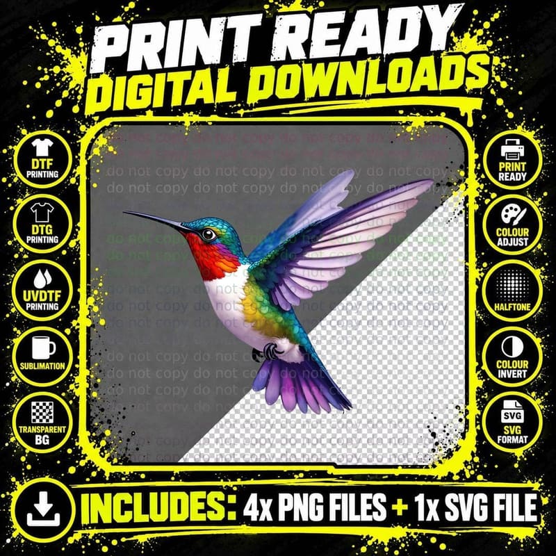 Colorful Hummingbird Mid-Flight T-Shirt Png SVG Digital Bundle
