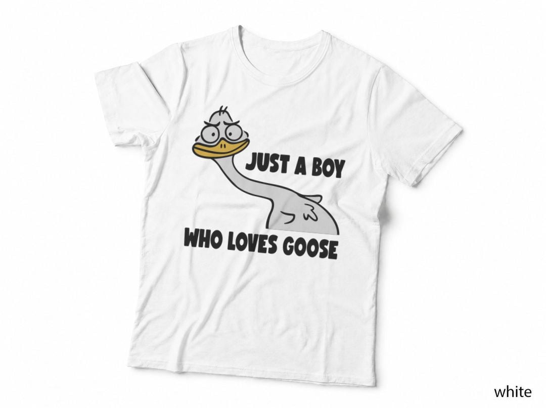 Goose Boy Gift Just a Boy Who Loves Goose Gift T-Shirt