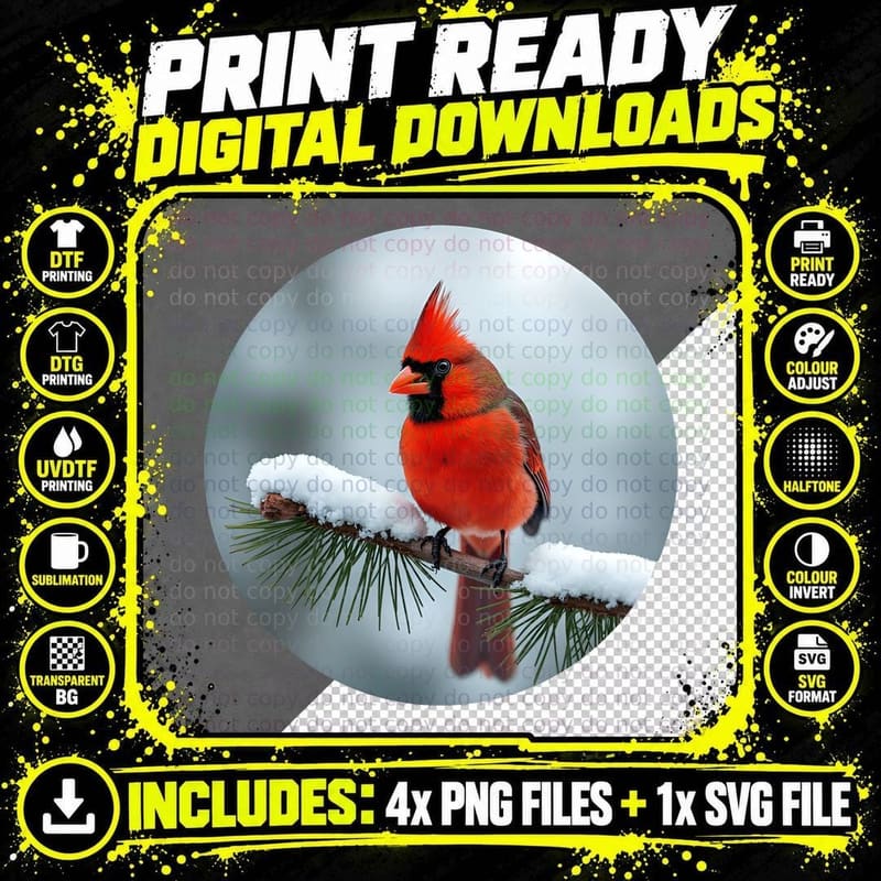 Realistic Cardinal in an Oval T-Shirt Png SVG Digital Bundle