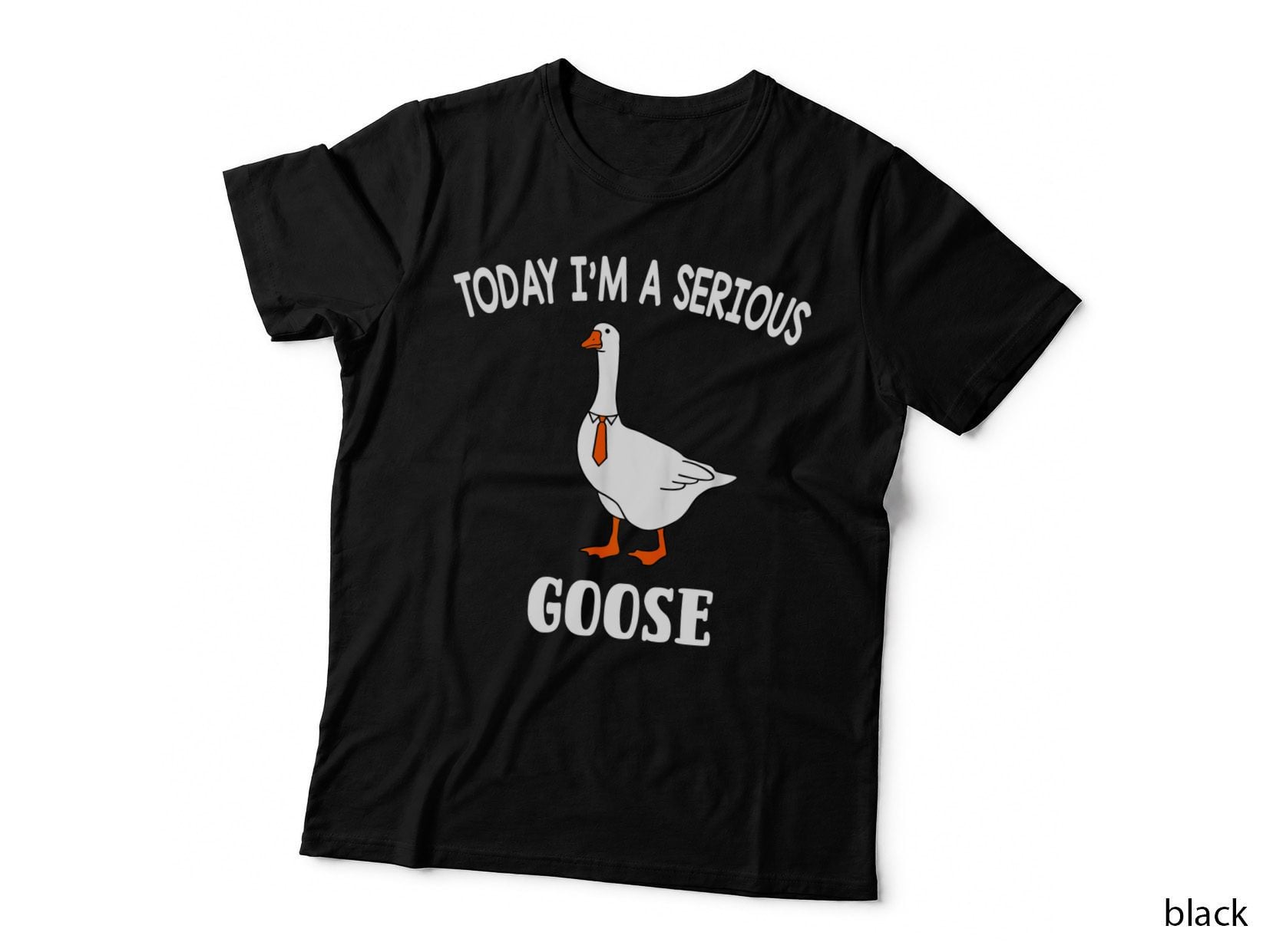 Today I'm a Serious Goose Gift T-Shirt