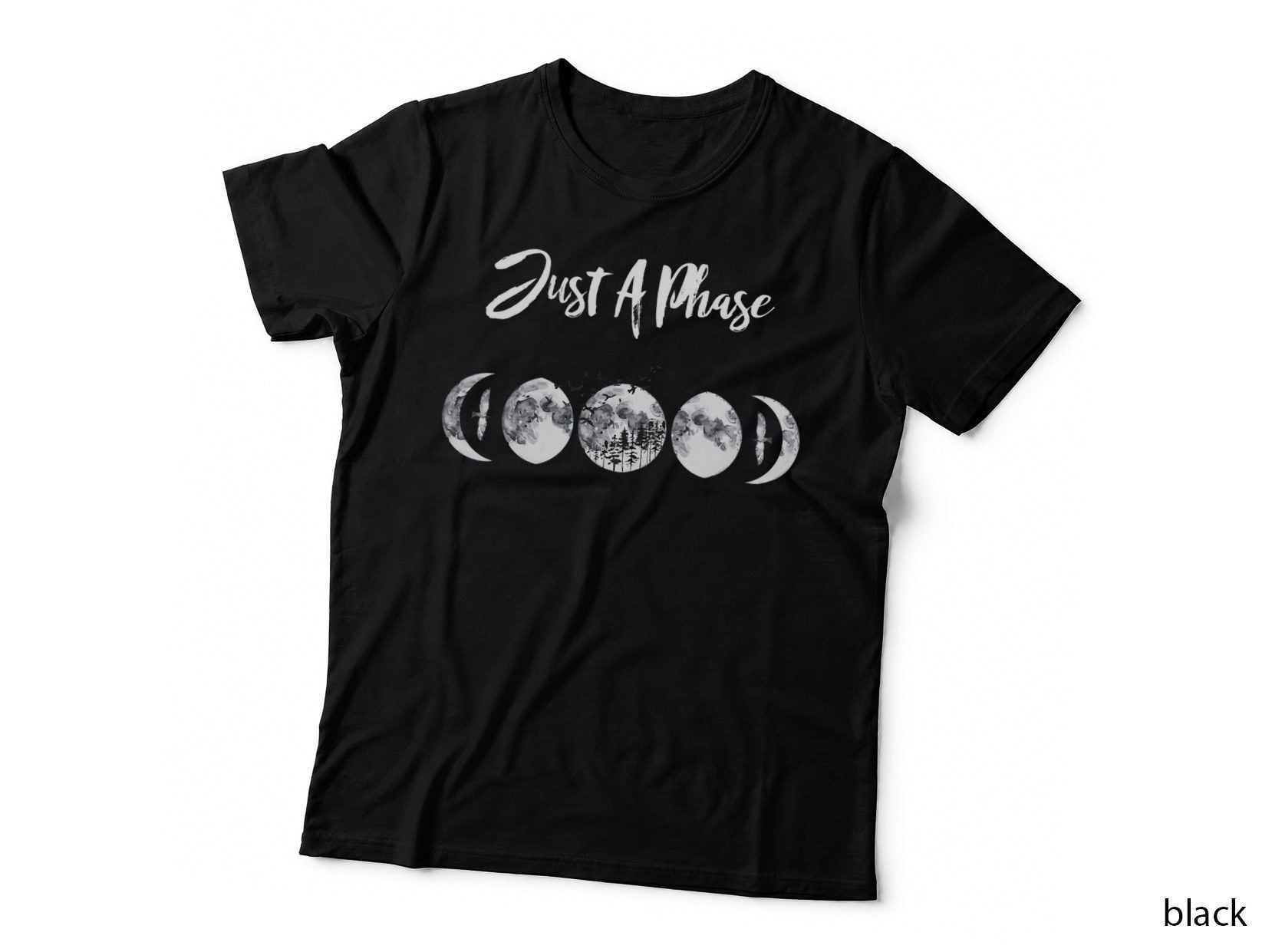 Just a Phase Moon Cycle Phases of the Moon Astronomy Design T-Shirt