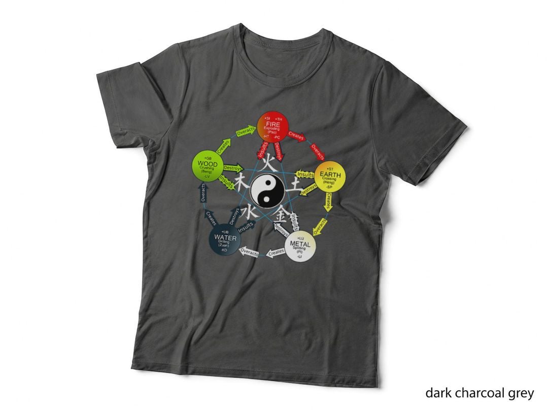 Tai Chi Yin Yang Five Elements Chinese Medicine T-Shirt