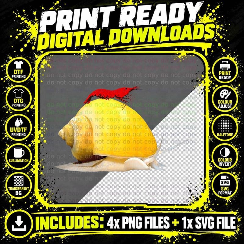 Cherry Shrimp Mystery Snail Aquarium Fish Freshwater Png SVG Digital Bundle