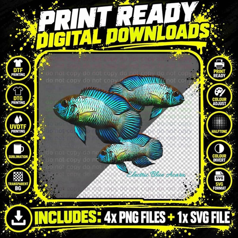 Electric Blue Acara Breeders Dwarf Cichlids Aquarium Png SVG Digital Bundle