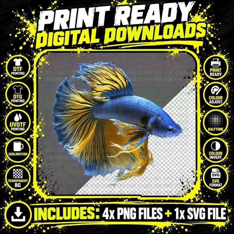 Yellow & Blue Siamese Fighting Betta Fish Aquarium Owner Png SVG Digital Bundle