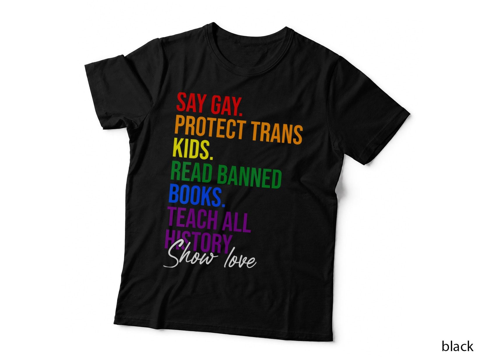 Say Gay Protect Trans Kids Read Banned Books Teach History T-Shirt