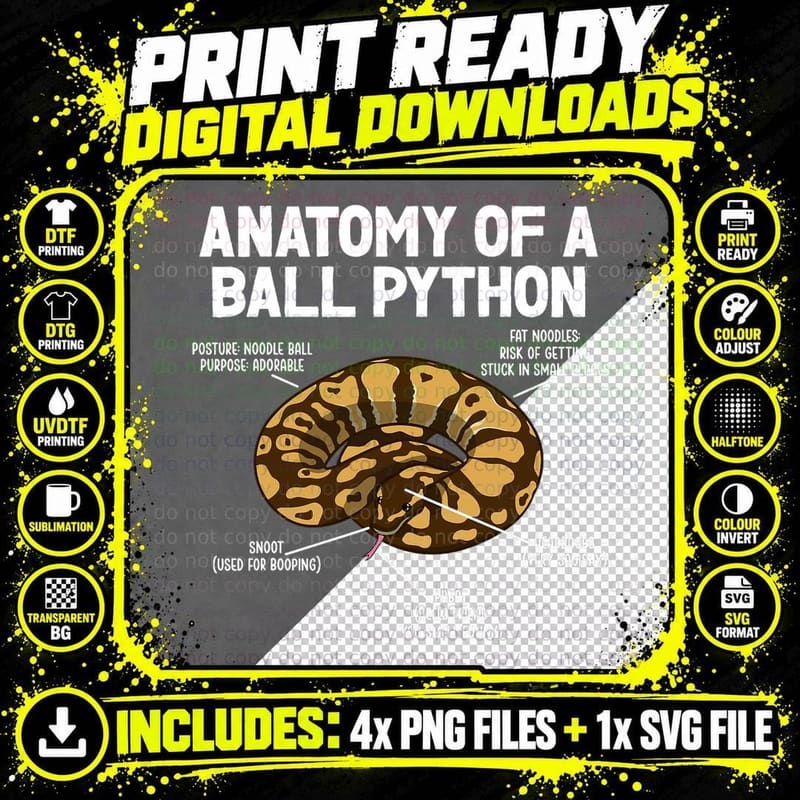 Anatomy of a Ball Python Owner Ball Python Lover T-Shirt Png SVG Digital Bundle