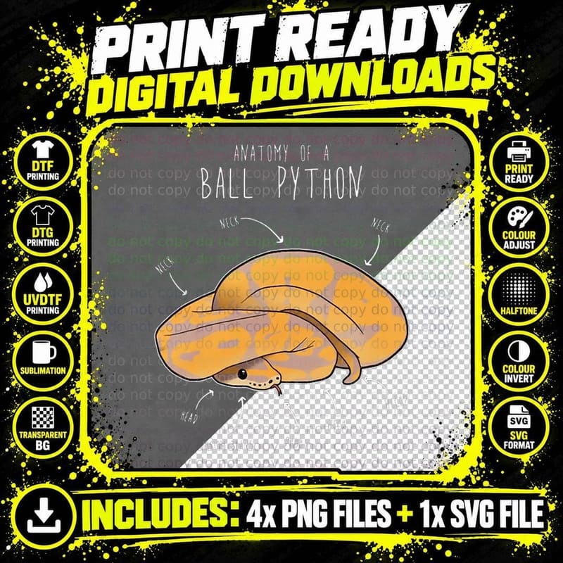 Anatomy of a Banana Ball Python T-Shirt Png SVG Digital Bundle