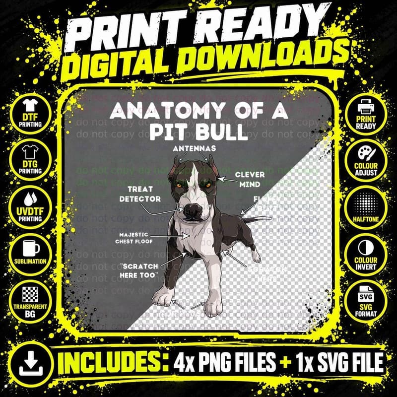 Anatomy of a Pit Bull T-Shirt Png SVG Digital Bundle