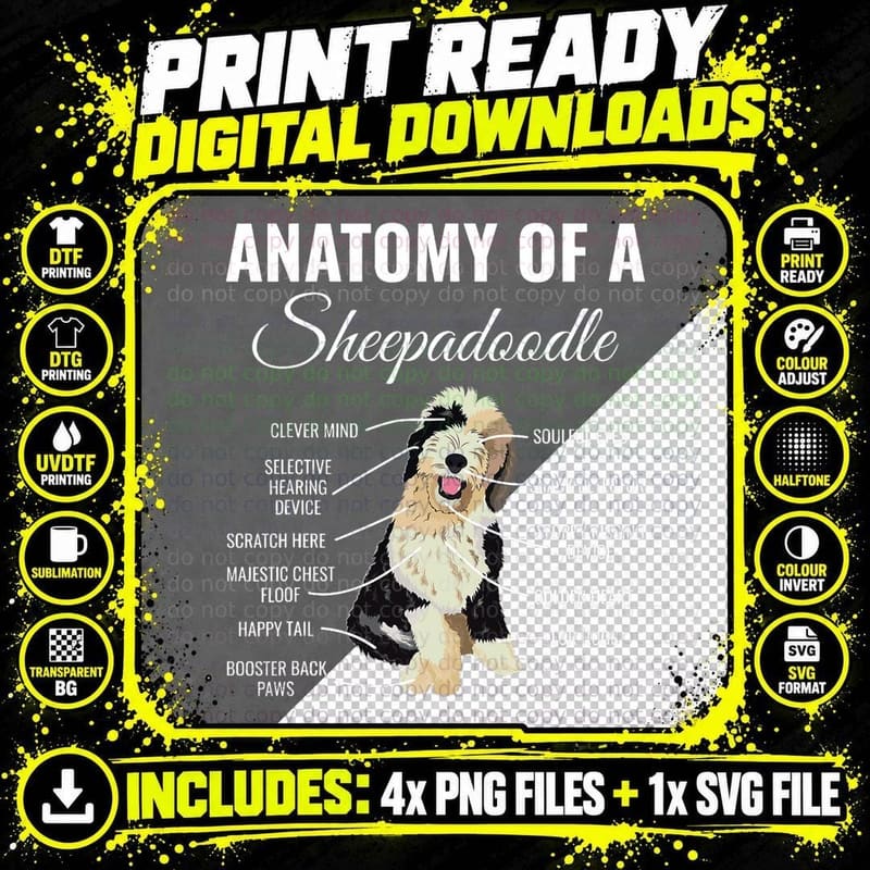 Anatomy of a Sheepadoodle T-Shirt Png SVG Digital Bundle